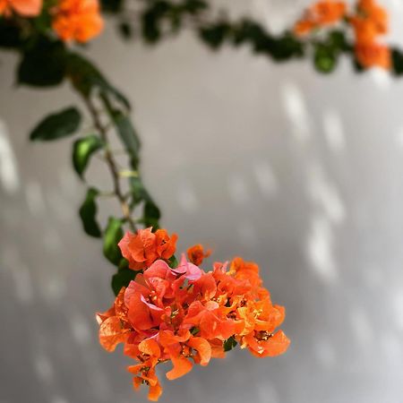 The Killians Boutique Hotel Kochi Ngoại thất bức ảnh