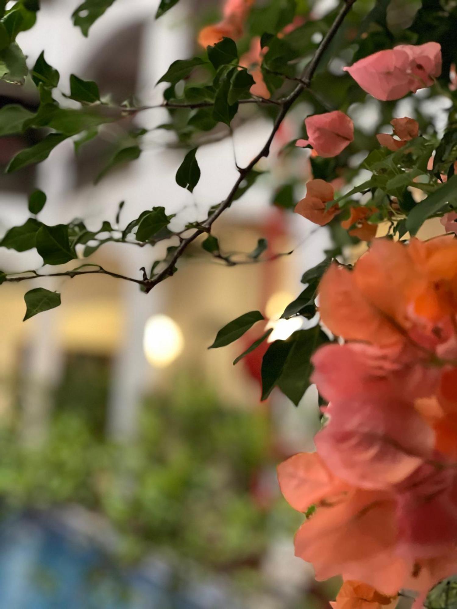 The Killians Boutique Hotel Kochi Ngoại thất bức ảnh